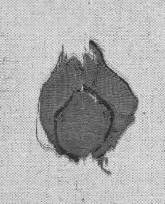 décor de textile ; fragment, image 5/5