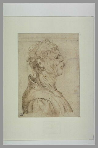 Buste d'homme de profil à droite, les cheveux ébouriffés, image 2/4