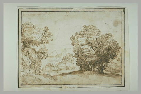 Paysage encadré par deux grands arbres, image 2/2