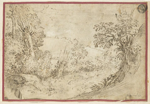 Paysage avec des bosquets d'arbres et d'arbustes