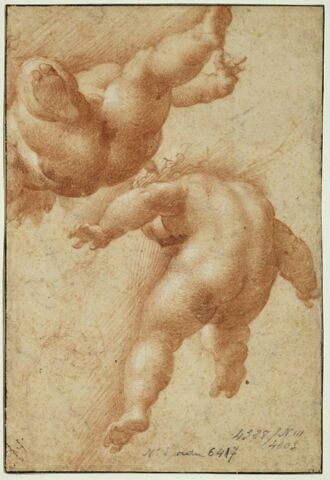 Études de deux putti, volant, de dos, vus en raccourci, et esquisse d'un troisième