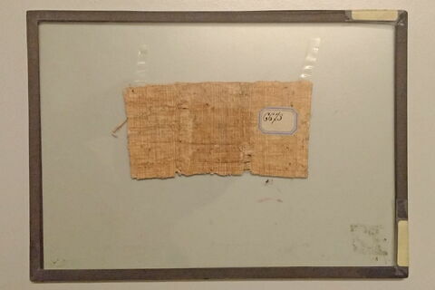 papyrus documentaire, image 2/2