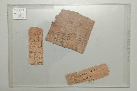 papyrus