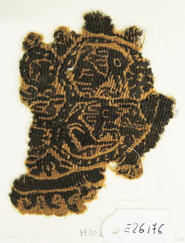 orbiculus ; fragment, image 2/2