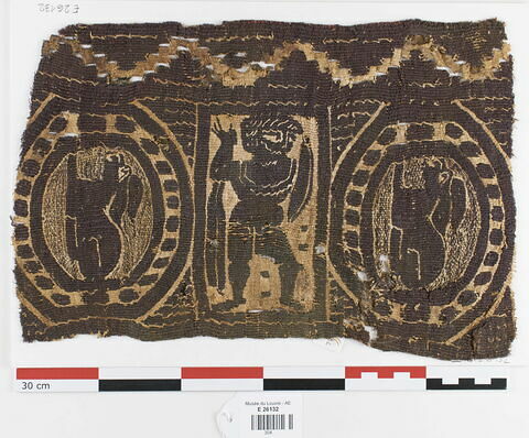 plastron de tunique ; fragment