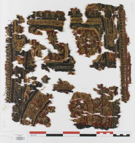 plastron de tunique ; fragments