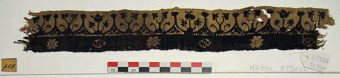 bande d'encolure ; fragment, image 2/2