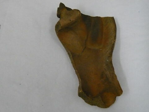 moule  ; fragment, image 2/3