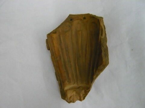 moule  ; fragment, image 2/3