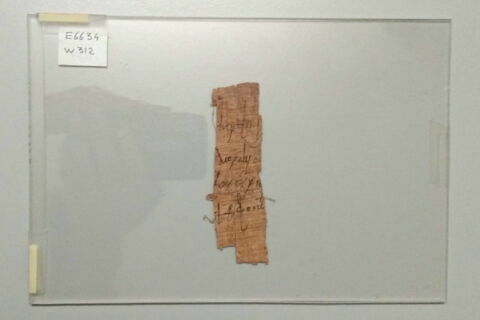 papyrus, image 2/2