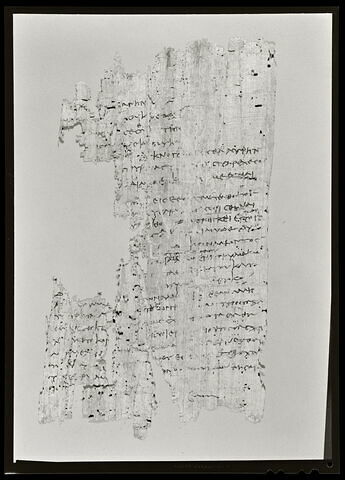 papyrus documentaire, image 2/3