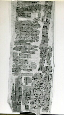 papyrus documentaire, image 2/2