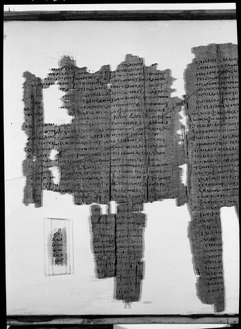 Papyrus Mimaut, image 13/22