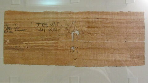 papyrus documentaire, image 2/2