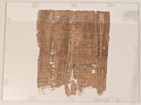 papyrus documentaire, image 2/2