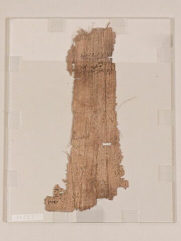 papyrus documentaire, image 2/2