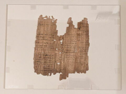 papyrus documentaire, image 2/2