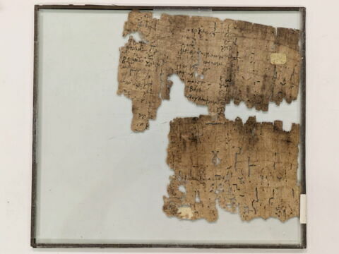 papyrus documentaire, image 2/2