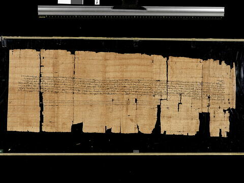 papyrus documentaire