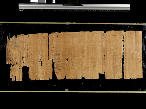 papyrus documentaire, image 2/2