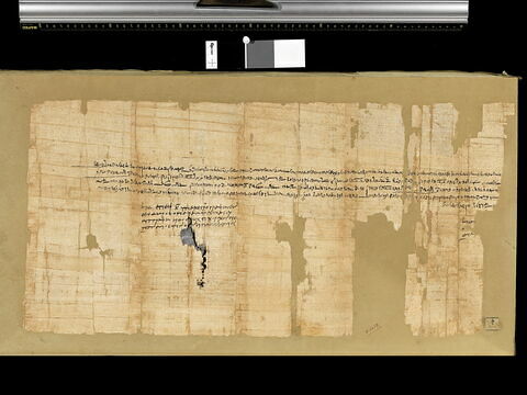 papyrus documentaire