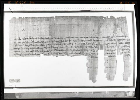 papyrus documentaire