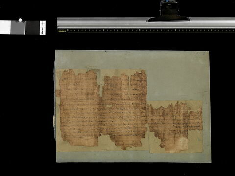 papyrus documentaire