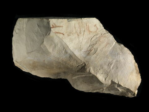 ostracon, image 2/2