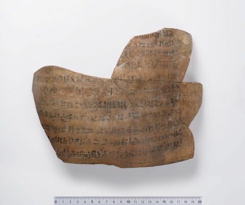 Ostracon du revenant