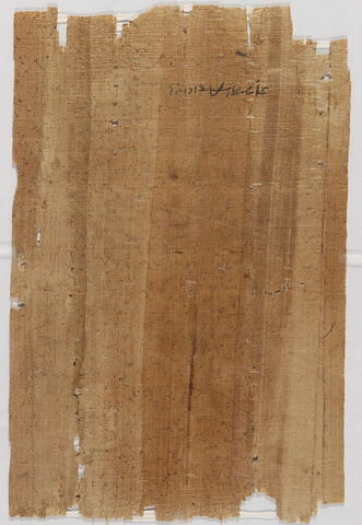 papyrus documentaire, image 2/2