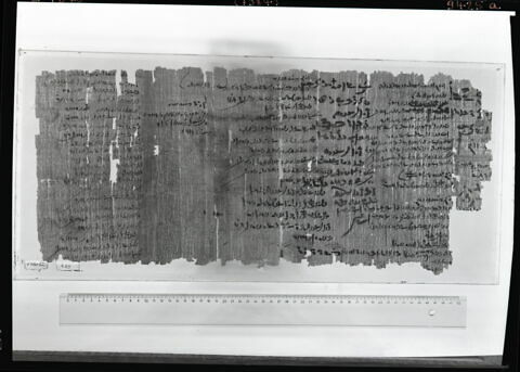 papyrus documentaire