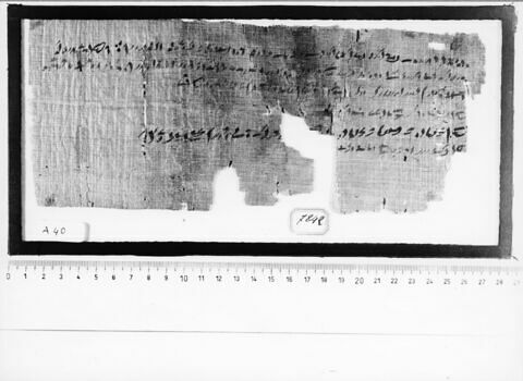 papyrus documentaire