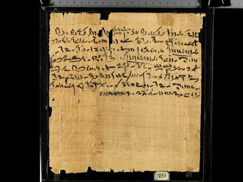 papyrus documentaire