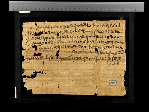 papyrus documentaire