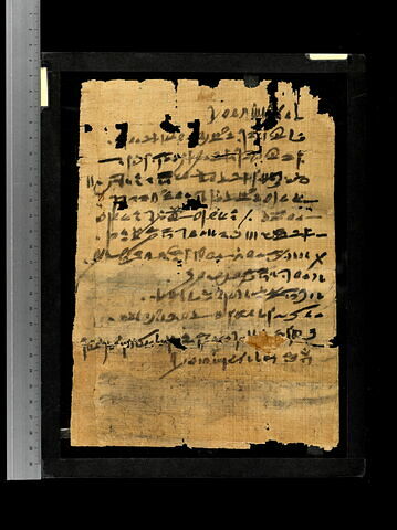 papyrus documentaire, image 2/2