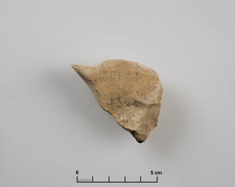 ostracon