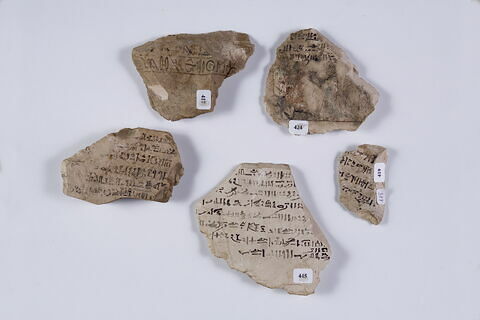 ostracon, image 3/4