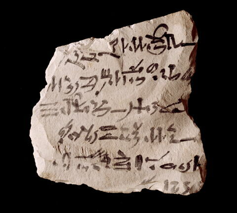 ostracon, image 3/3