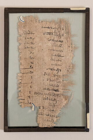 papyrus documentaire, image 2/2