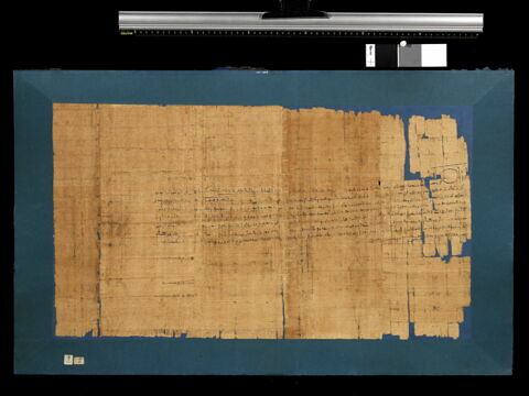 papyrus documentaire