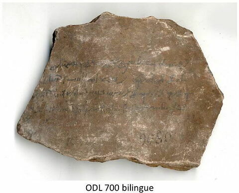 ostracon