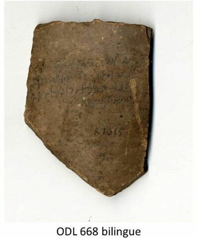 ostracon