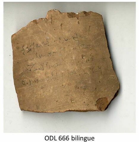 ostracon, image 1/1