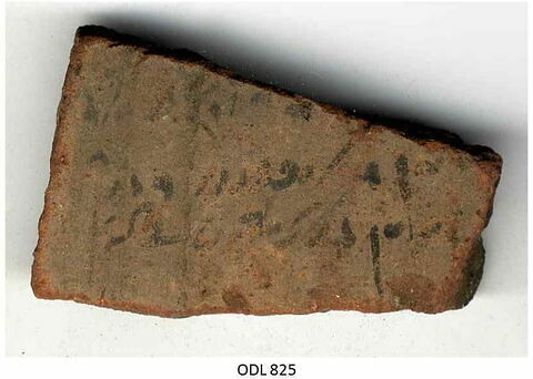 ostracon