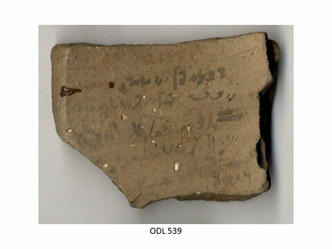 ostracon