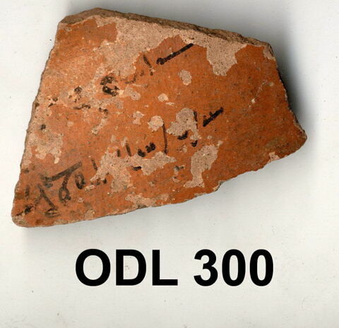 ostracon