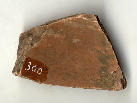 ostracon, image 2/2