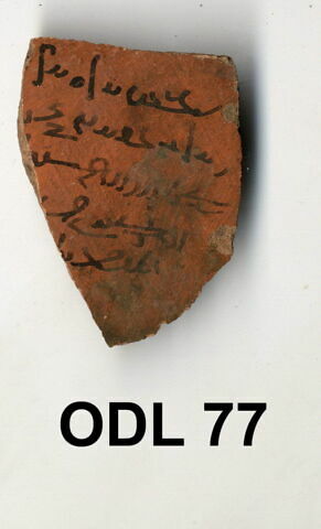 ostracon, image 1/1