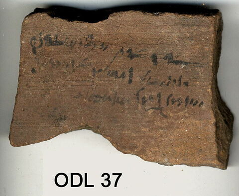 ostracon