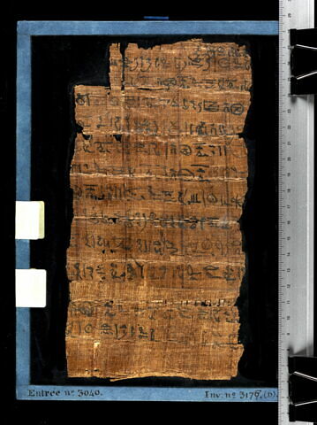 papyrus funéraire